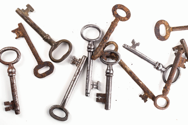 نگهداری شاد و سالم گربه‌تان با ۱۸ نکته ضروری و کاربردی!