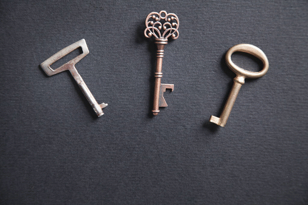 بیماری خطرناک نفخ سگ و درمان آن با 16 نکته جهت آشنایی